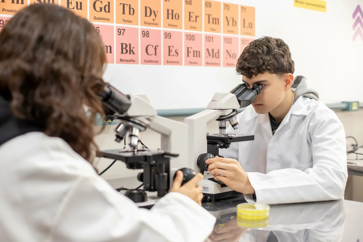 Inovação com propósito educacional